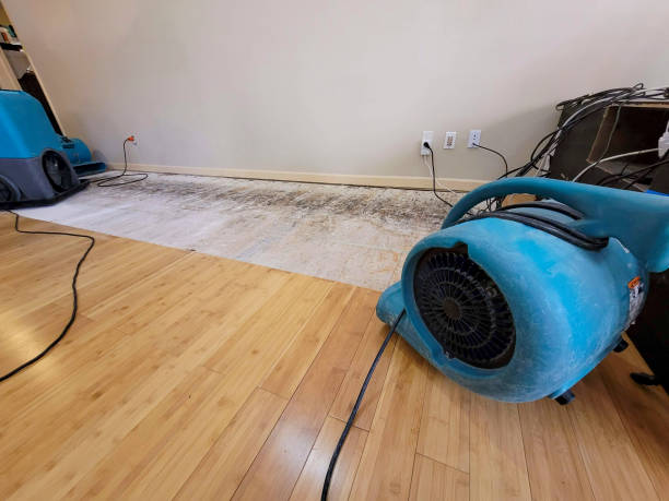 Professional Flood Damage Cleanup technician working in Carolina, RI